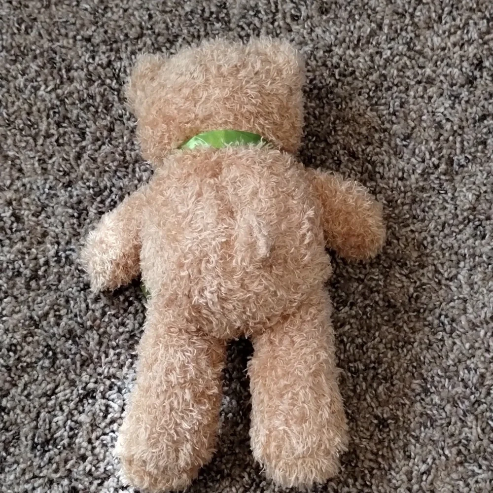 Small Teddy Bear